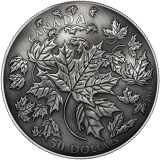 Konkávní stříbrná mince 50 Dollars 2018