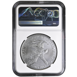 Stříbrná mince, American Silver Eagle 1 Oz 2021 - typ 2.